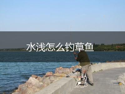 水浅怎么钓草鱼,第1张