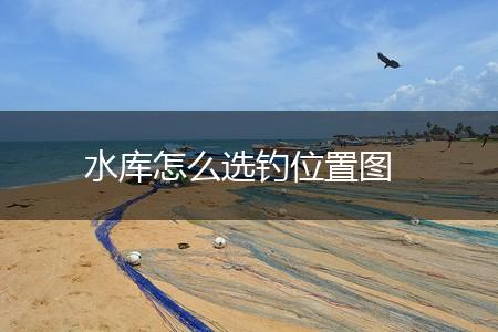 水库怎么选钓位置图,第1张