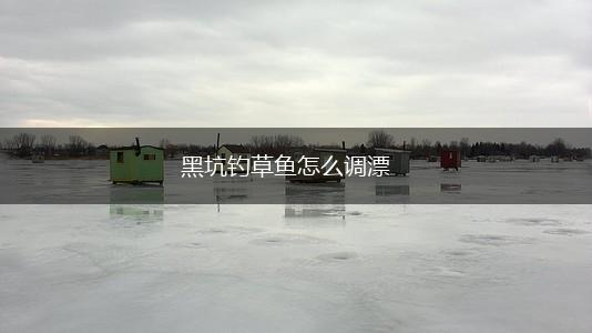 黑坑钓草鱼怎么调漂,第1张