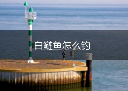 白鲢鱼怎么钓,第1张