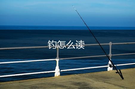 钓怎么读,第1张