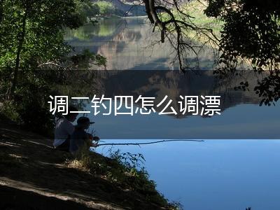 调二钓四怎么调漂,第1张