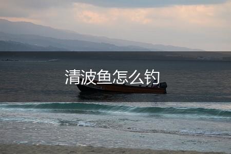 清波鱼怎么钓,第1张