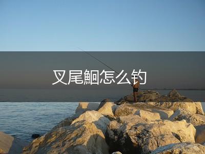 叉尾鮰怎么钓,第1张