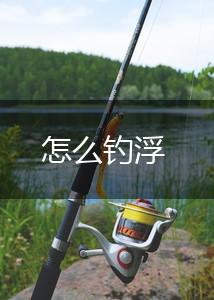 怎么钓浮,第1张