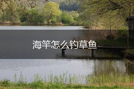 海竿怎么钓草鱼,第1张