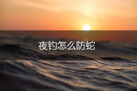 夜钓怎么防蛇,第1张