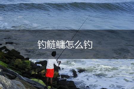 钓鲢鳙怎么钓,第1张