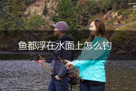 鱼都浮在水面上怎么钓,第1张