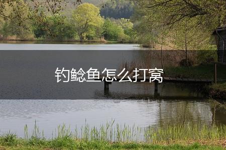 钓鲶鱼怎么打窝,第1张