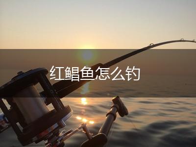 红鲳鱼怎么钓,第1张