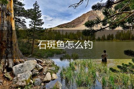 石斑鱼怎么钓,第1张