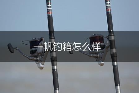 一帆钓箱怎么样,第1张