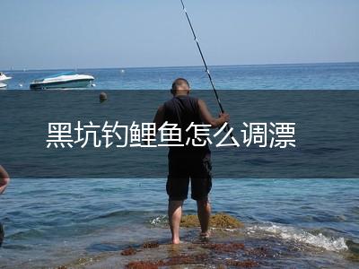 黑坑钓鲤鱼怎么调漂,第1张