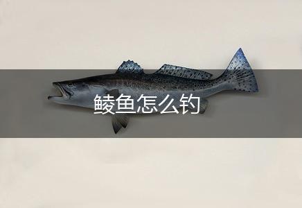 鲮鱼怎么钓,第1张