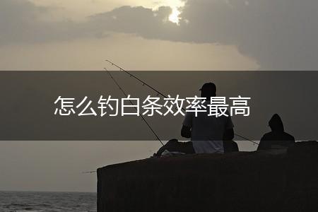 怎么钓白条效率最高,第1张