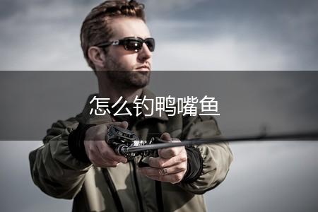 怎么钓鸭嘴鱼,第1张