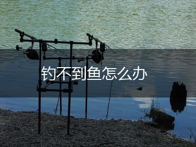钓不到鱼怎么办,第1张