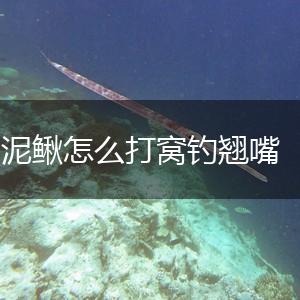 泥鳅怎么打窝钓翘嘴,第1张
