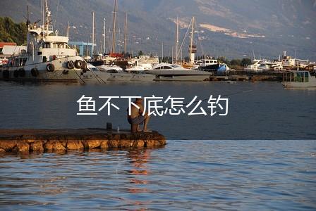 鱼不下底怎么钓,第1张