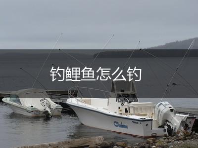 钓鲤鱼怎么钓,第1张