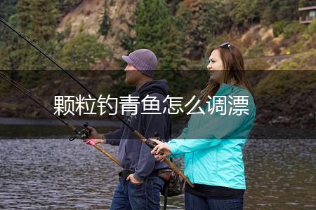颗粒钓青鱼怎么调漂,第1张