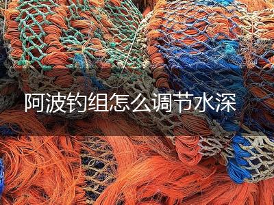 阿波钓组怎么调节水深,第1张