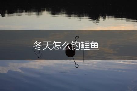 冬天怎么钓鲤鱼,第1张