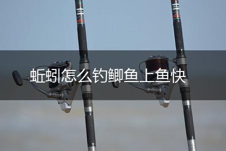 蚯蚓怎么钓鲫鱼上鱼快,第1张