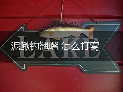 泥鳅钓翘嘴 怎么打窝,第1张