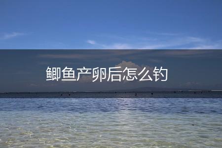 鲫鱼产卵后怎么钓,第1张
