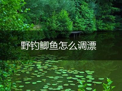 野钓鲫鱼怎么调漂,第1张