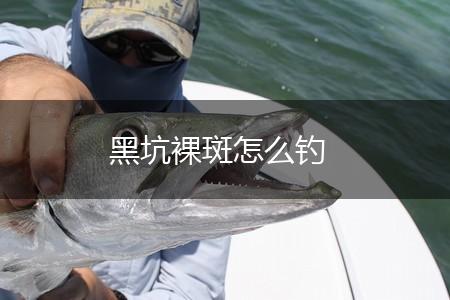 黑坑裸斑怎么钓,第1张