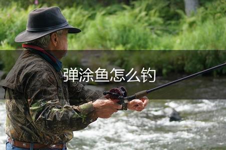 弹涂鱼怎么钓,第1张