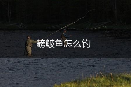 鳑鲏鱼怎么钓,第1张