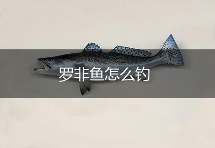 罗非鱼怎么钓,第1张