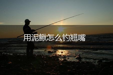 用泥鳅怎么钓翘嘴,第1张