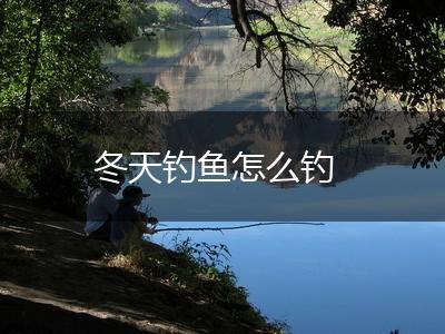 冬天钓鱼怎么钓,第1张