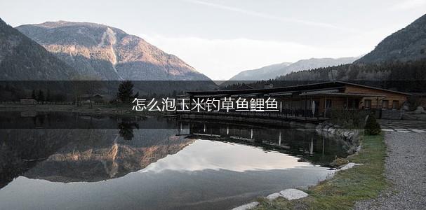 怎么泡玉米钓草鱼鲤鱼,第1张