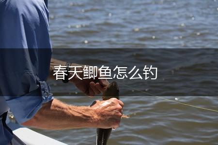 春天鲫鱼怎么钓,第1张