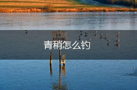 青稍怎么钓,第1张