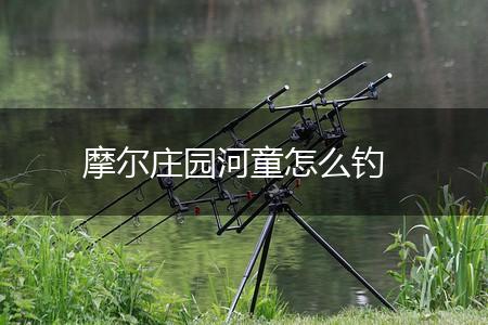 摩尔庄园河童怎么钓,第1张