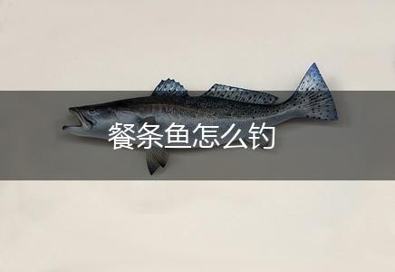 餐条鱼怎么钓,第1张