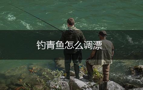 钓青鱼怎么调漂,第1张