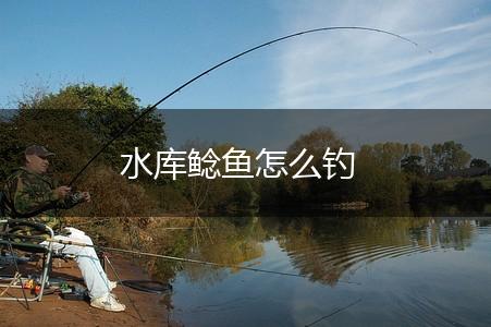 水库鲶鱼怎么钓,第1张
