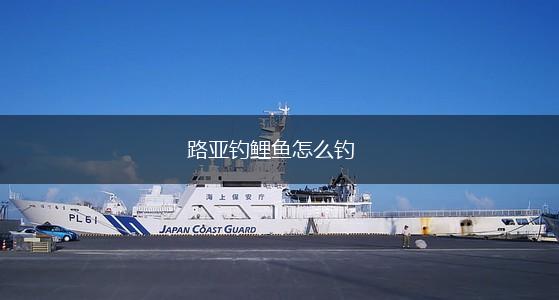 路亚钓鲤鱼怎么钓,第1张
