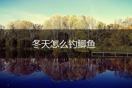 冬天怎么钓鲫鱼,第1张