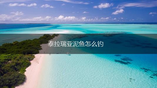 泰拉瑞亚泥鱼怎么钓,第1张