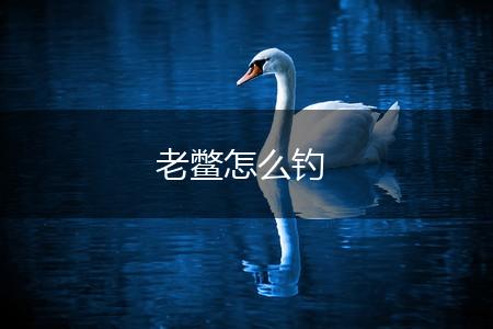 老鳖怎么钓,第1张