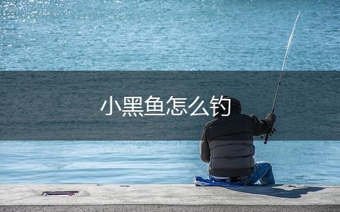 小黑鱼怎么钓,第1张